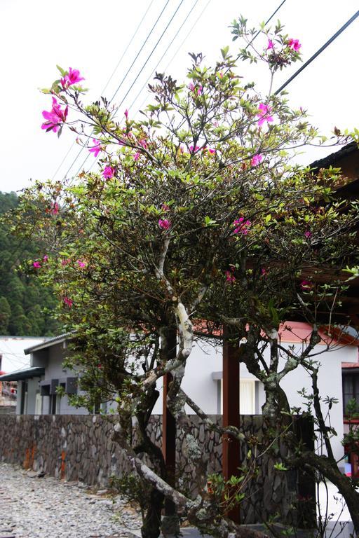 Zhongshan Hostel Fenchihu Exterior foto